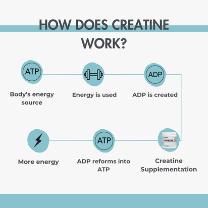 Micronized Creatine Monohydrate Powder