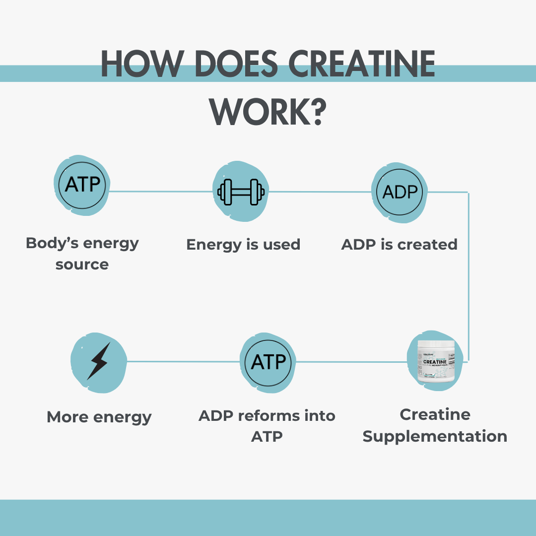 Micronized Creatine Monohydrate Powder